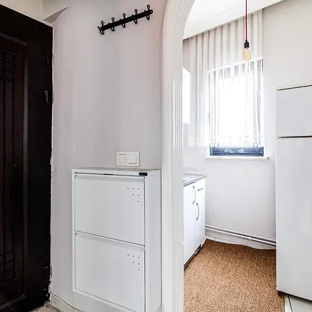 Apartment In The Heart Of Istanbul, 1br Stylish,spacious Istanbul